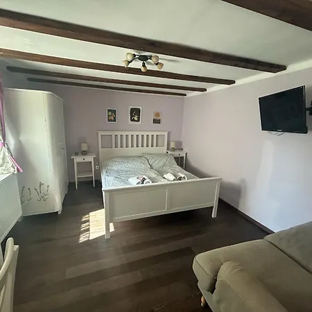 Levendula Kucko - Pataklak Vendeghaz *