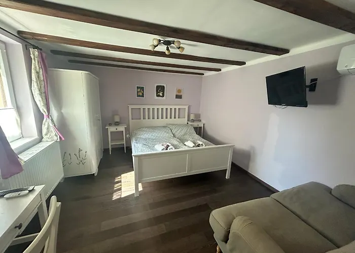 Levendula Kucko - Pataklak Vendeghaz *